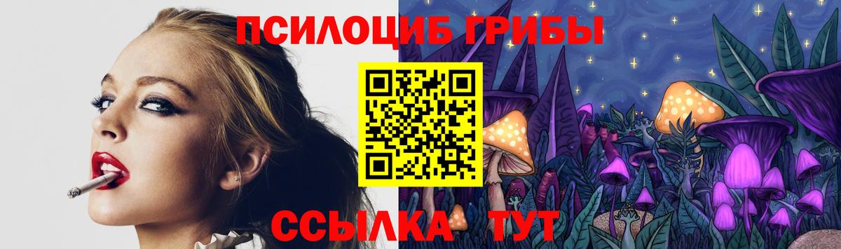 Орехово-Зуево  Галлюциногенные грибы GOLDEN TEACHER  Вход с VPN  Псилоцибиновые грибы GOLDEN TEACHER 